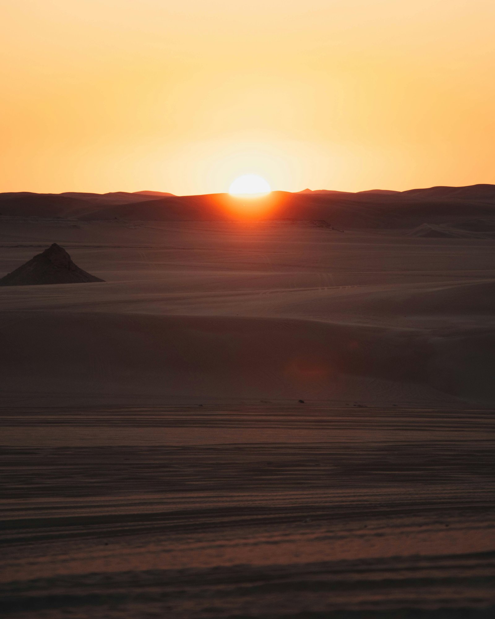 A golden sunset over the Serengeti plains with acacia trees silhouetted